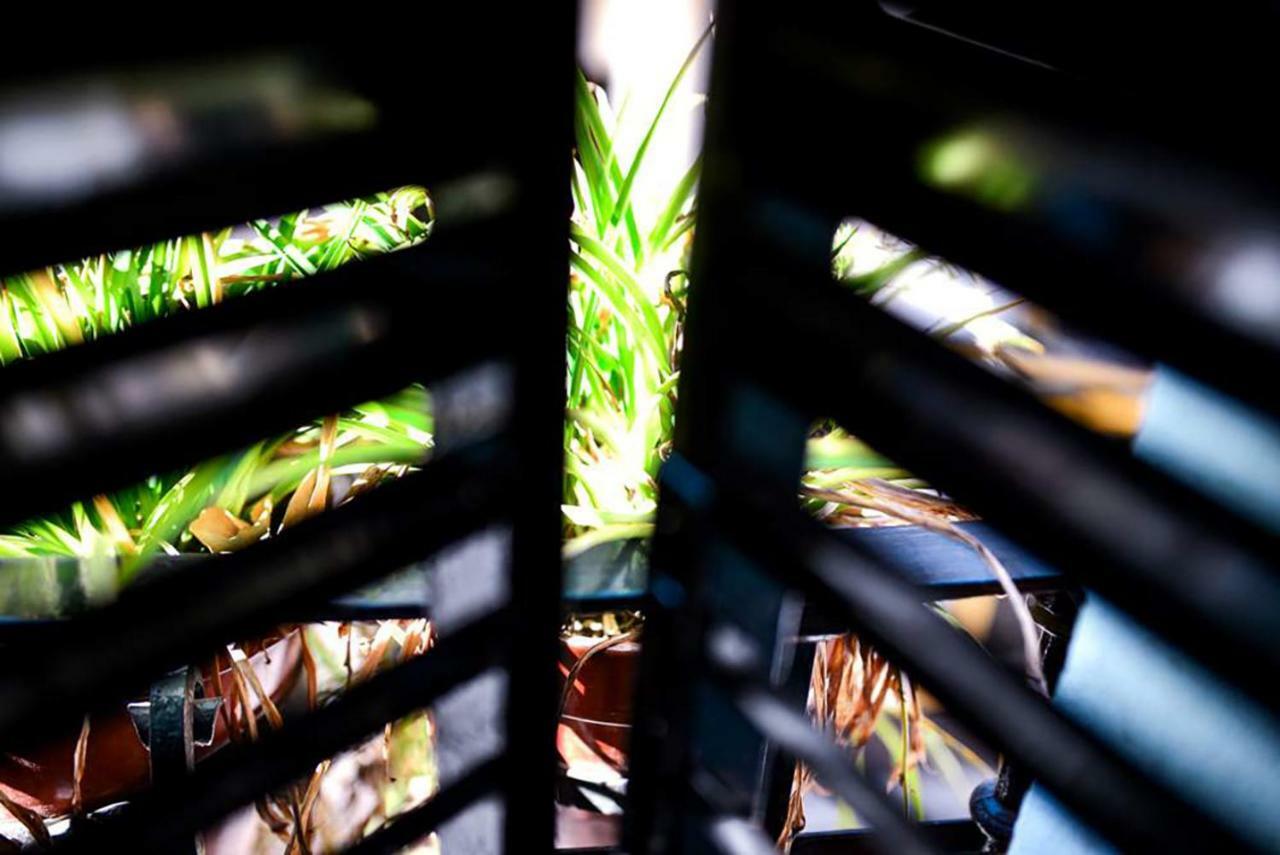 Casa Alfalfa 2 Dormitorios Terraza Y Solarium Privado セビリア エクステリア 写真