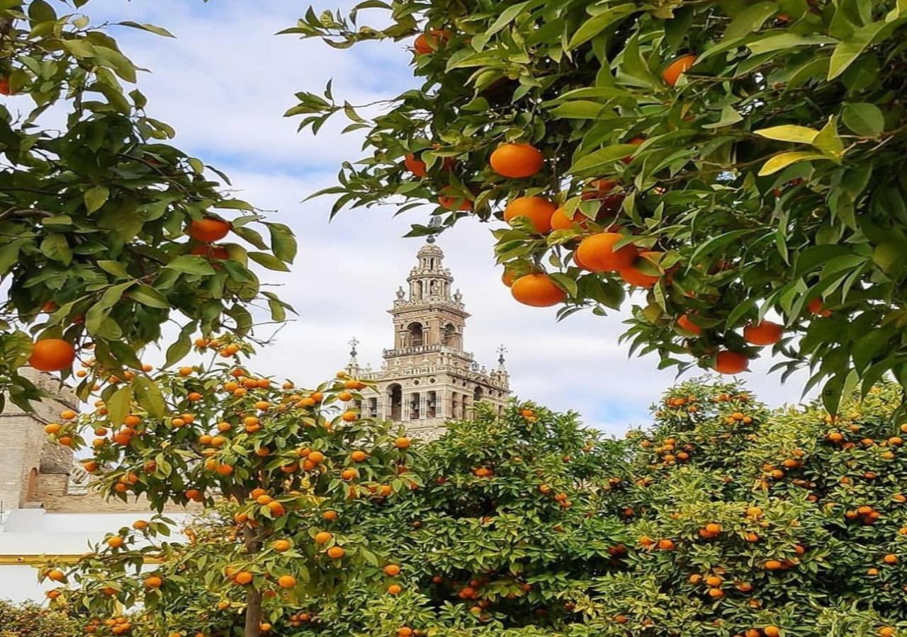 Casa Alfalfa 2 Dormitorios Terraza Y Solarium Privado セビリア エクステリア 写真
