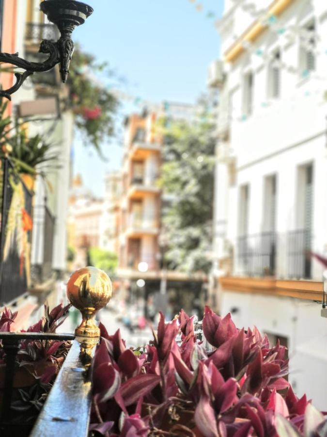 Casa Alfalfa 2 Dormitorios Terraza Y Solarium Privado セビリア エクステリア 写真